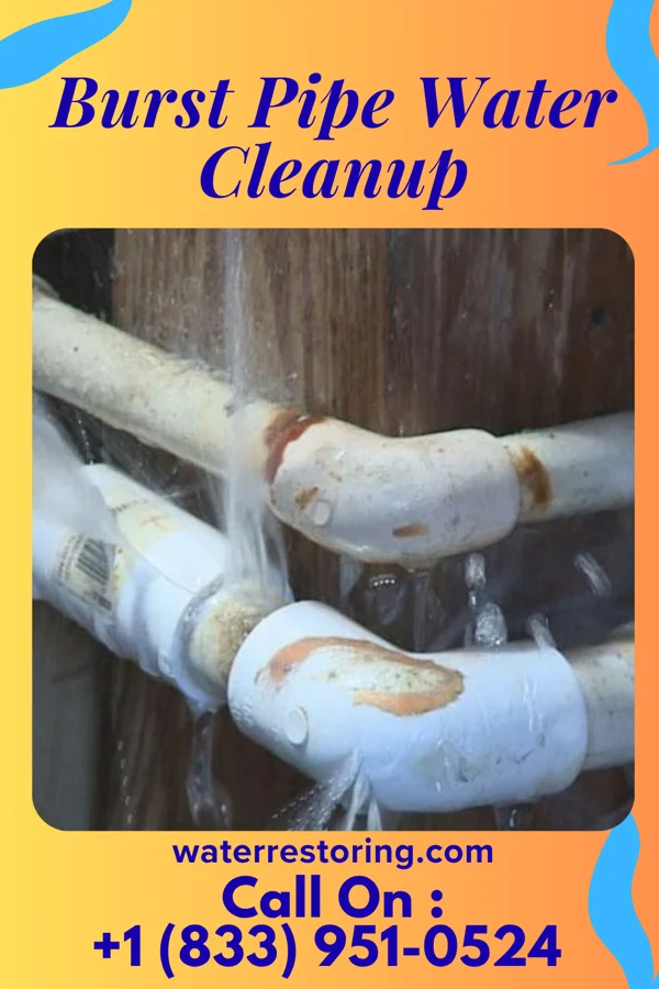 Burst Pipe Water Cleanup in Coopersburg, PA