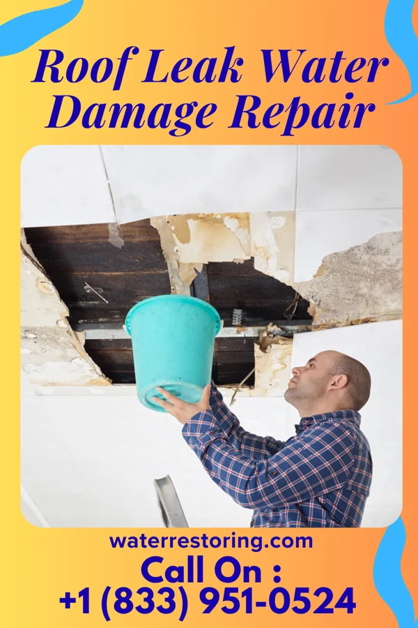Roof Leak Water Damage Repair in Coopersburg, PA