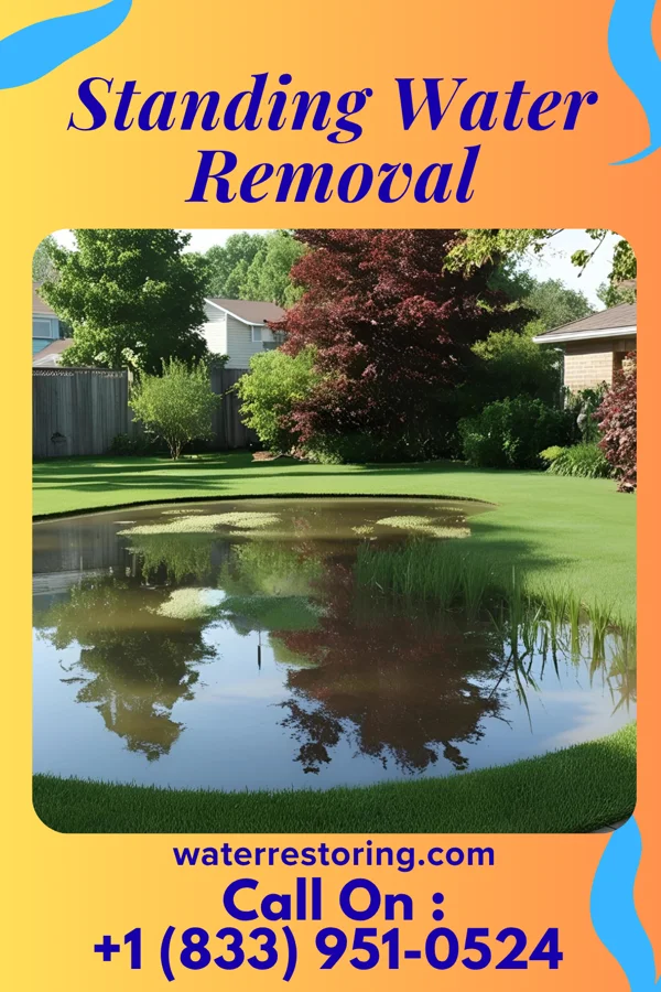 Standing Water Removal in Coopersburg, PA